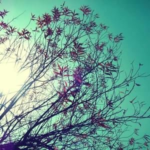 Meet your Posher, Ella